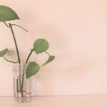 やりがちなポイ活のNG行動 やりがちなポイ活のNG行動